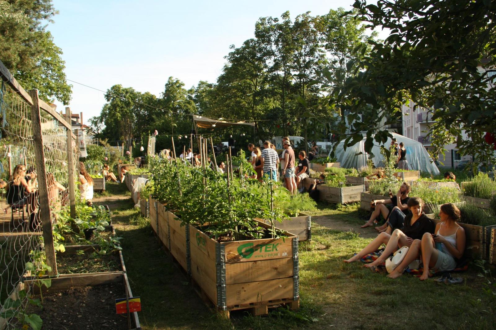 City And Community Garden Annalinde Naturvation Our guide on starting a community garden covers all the essential information to help you decide if this business is a good match for you. city and community garden annalinde