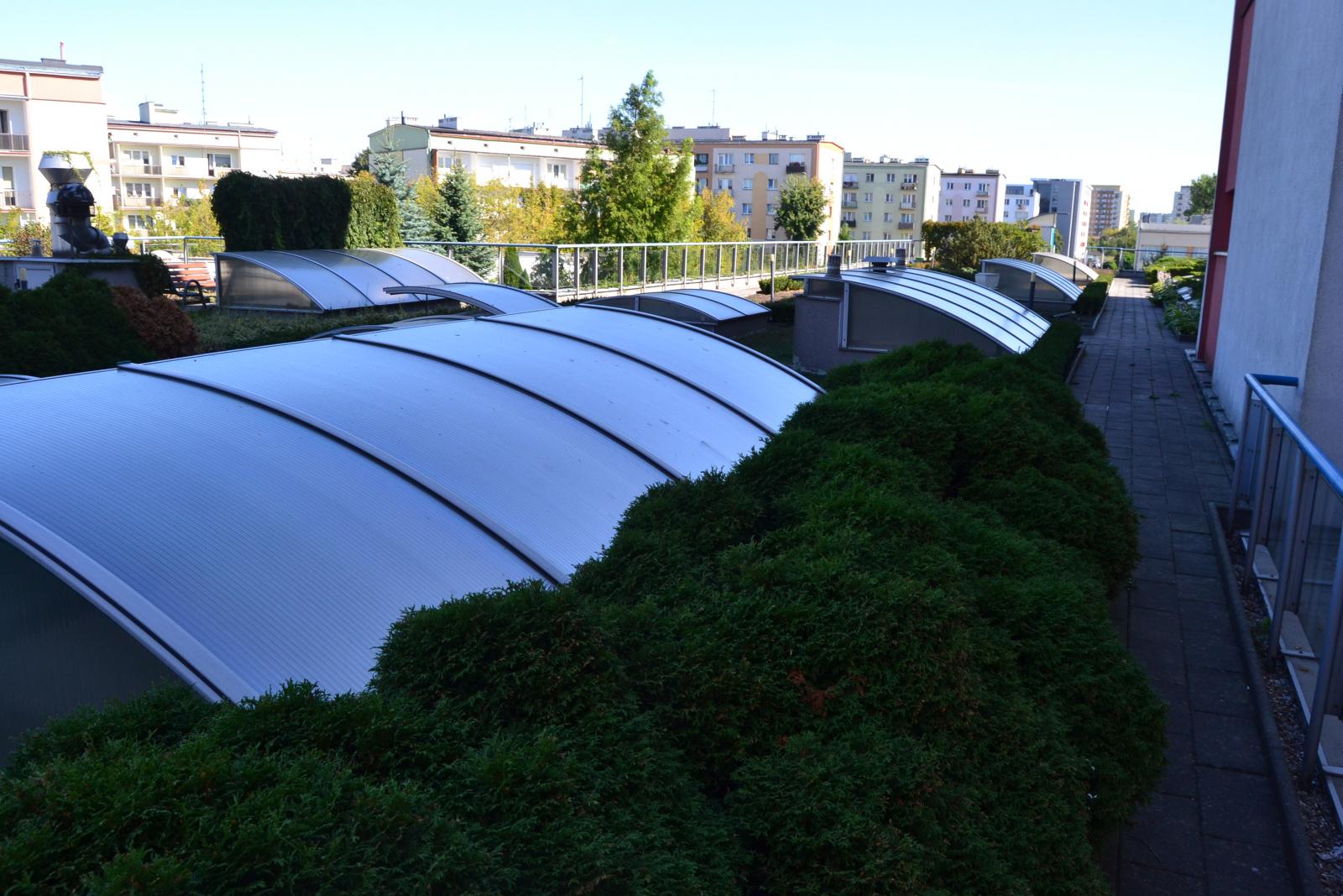 Garden On The Roof Of The Rehabilitation Clinic Naturvation