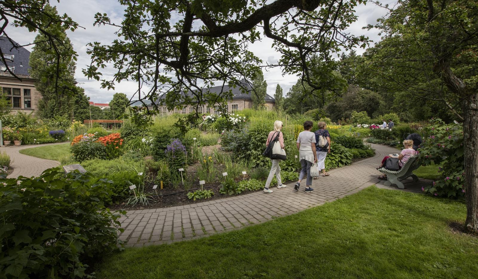 The Botanical Garden Of Oslo University Naturvation
